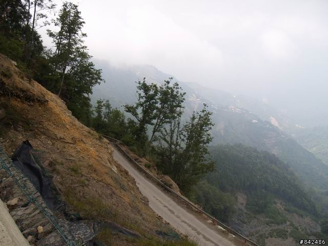 新竹五峰鄉一日遊--觀霧、雪霸休閒農場、清泉