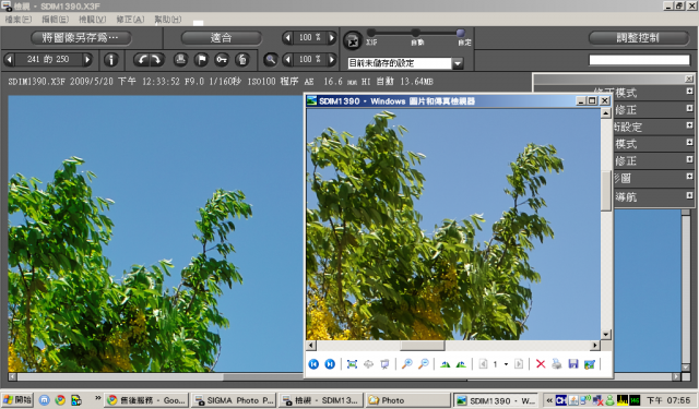 Sigma Photo Pro 3.5 輸出圖檔發生的色偏問題