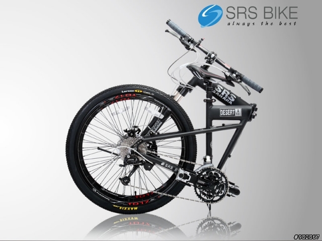 有大大是騎SRS的摺疊車嗎?可否分享一下心得?因為在01分享摺疊的SRS的比較少!