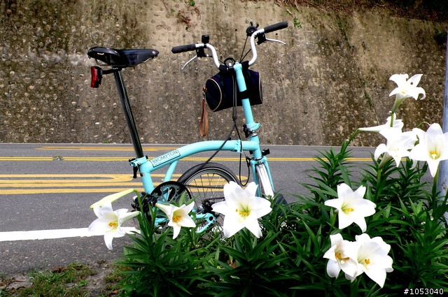 湖光山色相映在布榖鳥(BROMPTON、BIRDY)~日月潭環湖、西湖環鄉