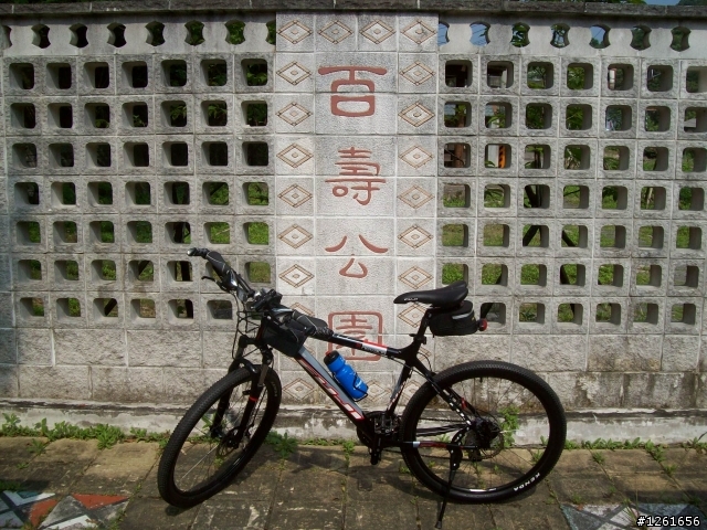 [遊記分享]騎車賞桐趣