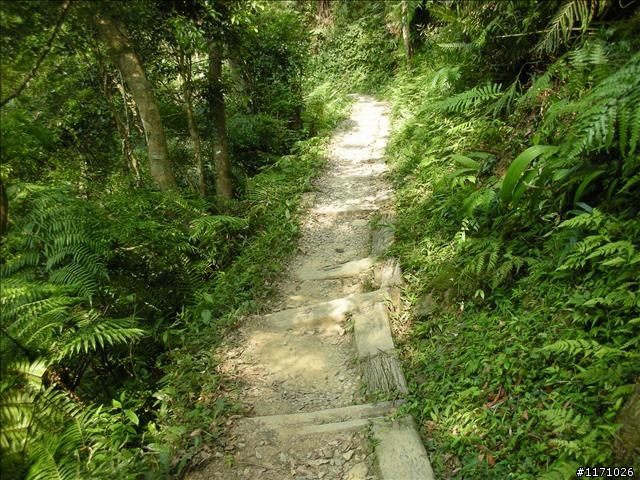 熊空越嶺紅河谷