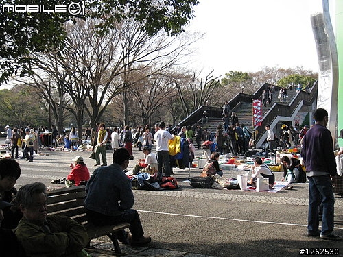 [分享]不可不去的跳蚤市場~東京代代木公園!!