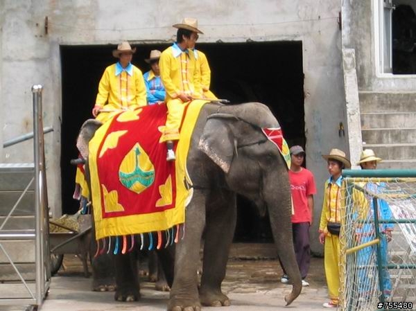 上海動物園