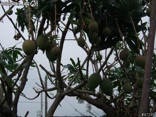 (環島)7天有5天都在下大雨之機車環島-0420~0426