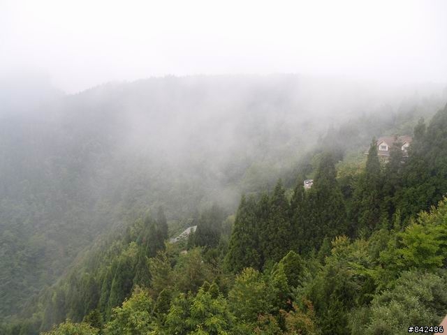 新竹五峰鄉一日遊--觀霧、雪霸休閒農場、清泉