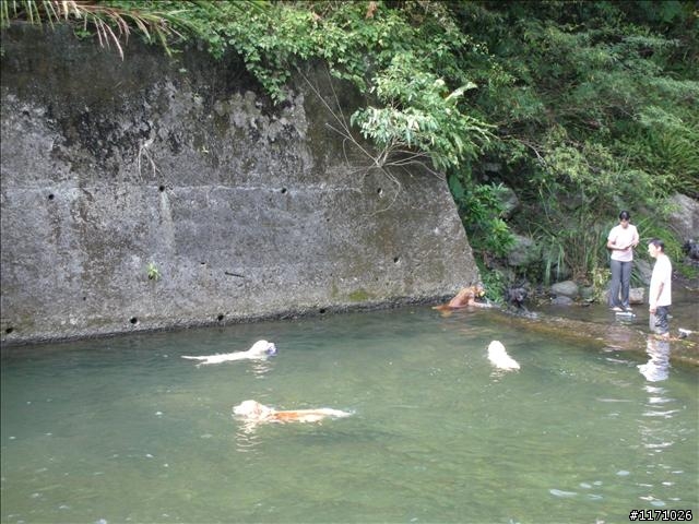 熊空越嶺紅河谷