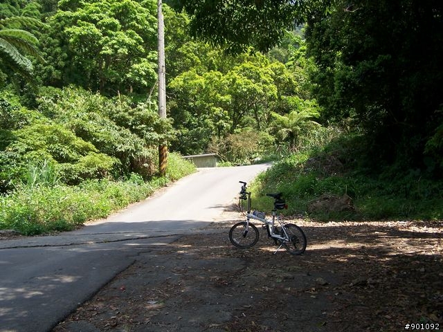 2009/5/12 三元宮上顯伯宮+鹿寮坑~關西 小越嶺 + 自不量力之錦山~水田 越嶺