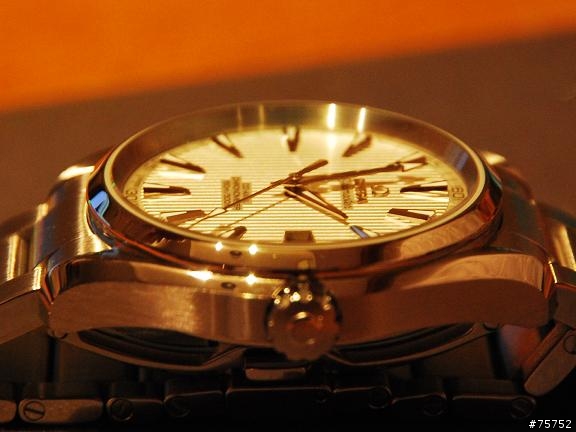 OMEGA Seamaster AQUA TERRA(白錶面)