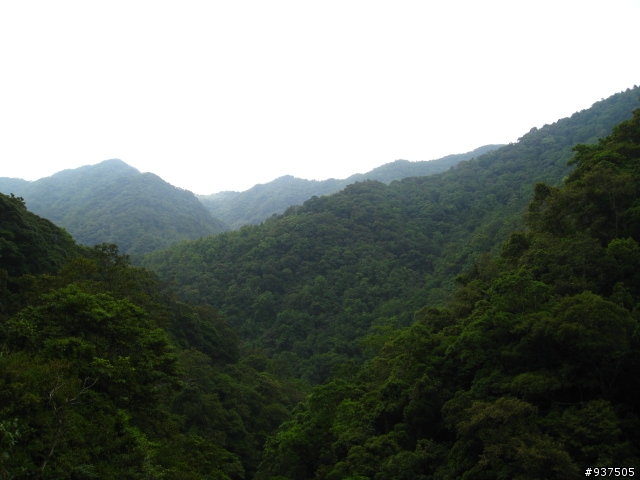 台北-烏來-桶後溪
