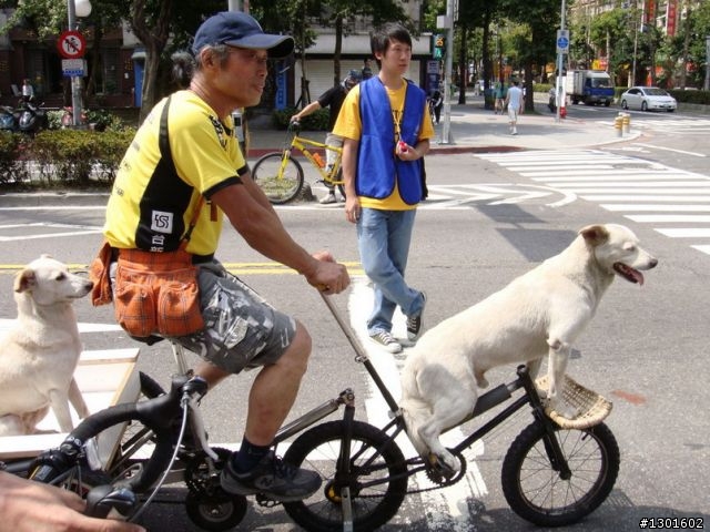 [照片]三輪車跑得快～