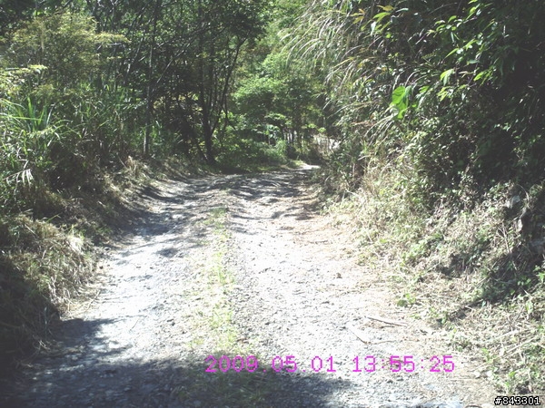 獨闖馬美林道&武道能敢