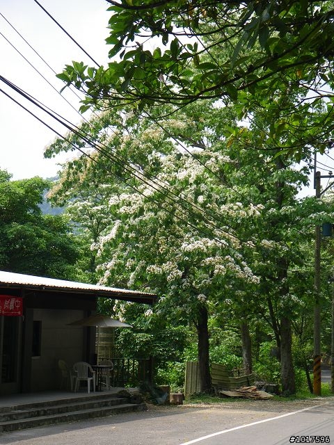 [路線分享] 0503石門水庫-內灣-宇老-石門水庫(非大滿貫)