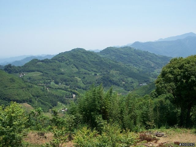 新竹縣五個山地部落 ( 和平~羅山~花園~天湖~梅花 ) 雙越嶺