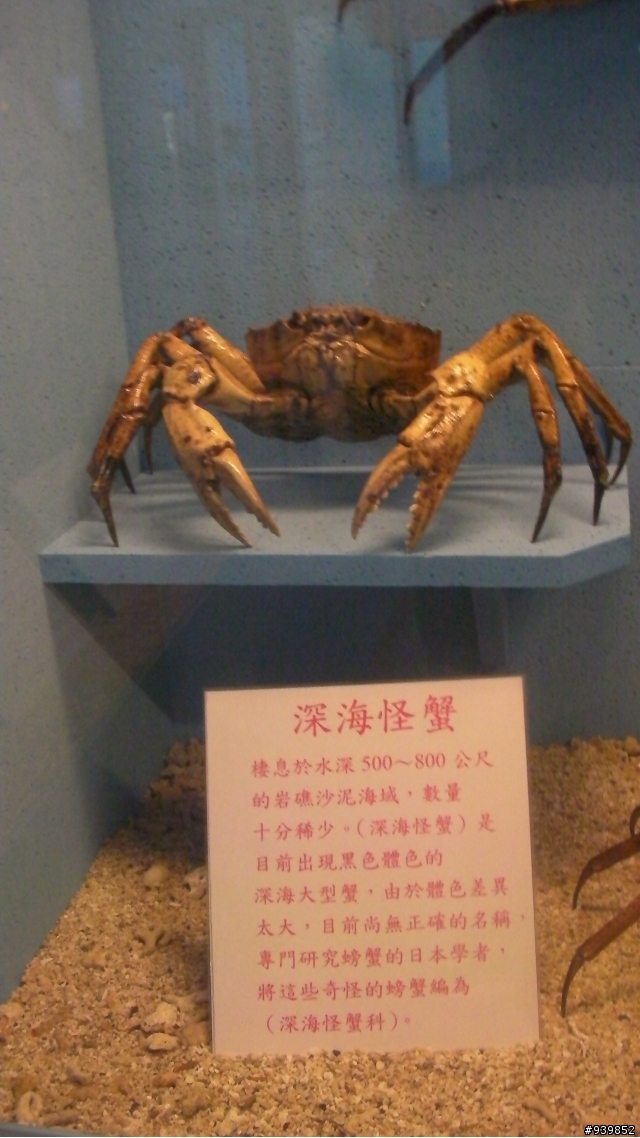2009春末6天5夜菊島行~完~照片多喔
