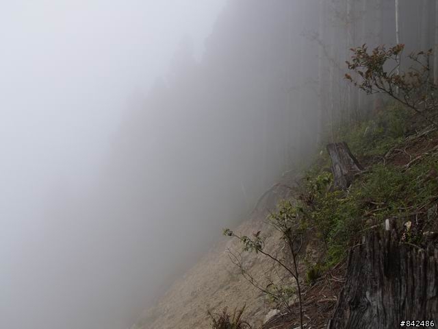 新竹五峰鄉一日遊--觀霧、雪霸休閒農場、清泉