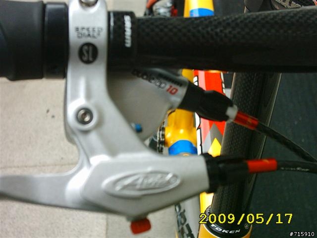 EQUINOX RR011 炫耀文