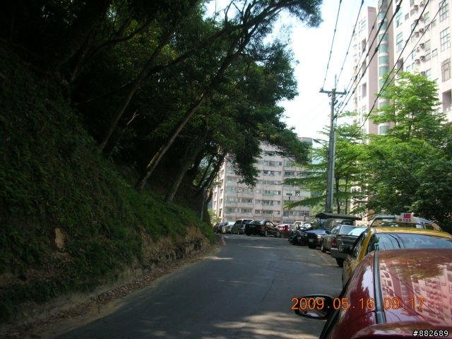 [路線調查]汐碇路蔭涼度調查記錄