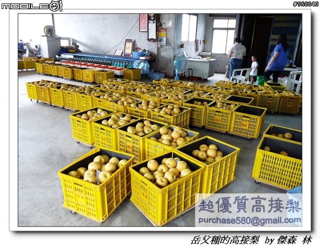 開包文_用心呵護的高接梨