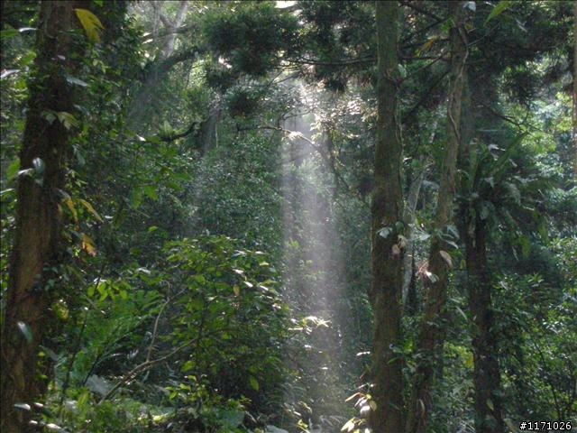 熊空越嶺紅河谷