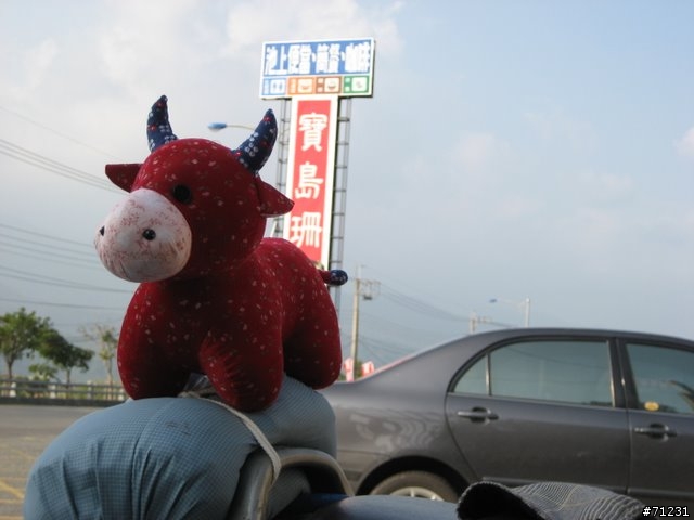 2009年02/09-02/16--8天7夜機車環島蜜月行已全部更新完畢