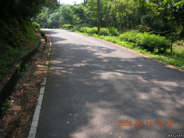 [路線調查]汐碇路蔭涼度調查記錄