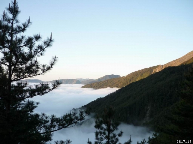 [分享]三天三夜，南部橫貫公路+藤枝國家森林遊樂區