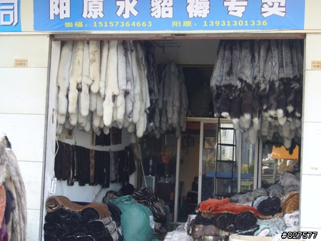 阿桐之杭州行...血淚篇