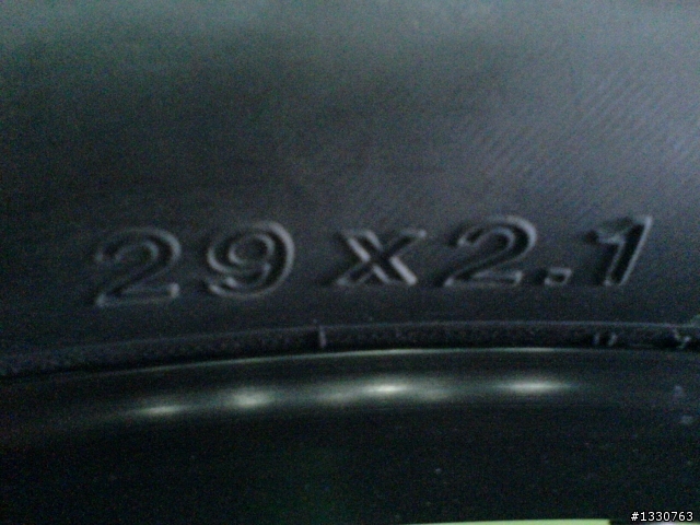 19吋的車架~29吋的輪胎(看人騎)