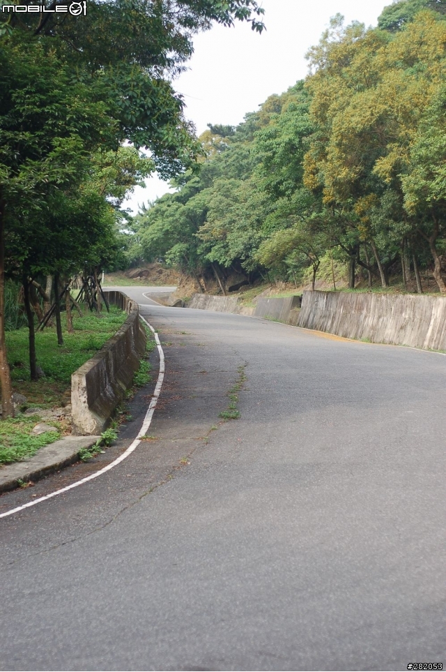 八連路上五指山...新發現 求 鳥名...感恩
