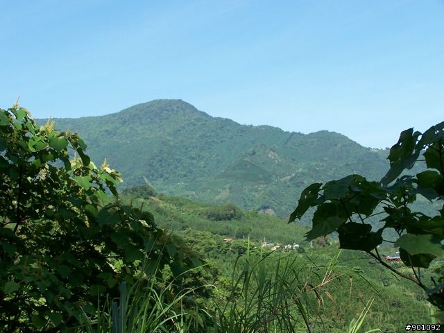 新竹縣五個山地部落 ( 和平~羅山~花園~天湖~梅花 ) 雙越嶺