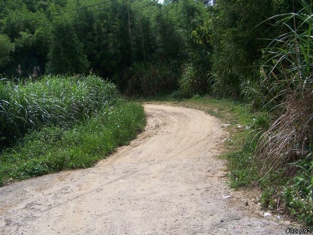 2009/5/12 三元宮上顯伯宮+鹿寮坑~關西 小越嶺 + 自不量力之錦山~水田 越嶺