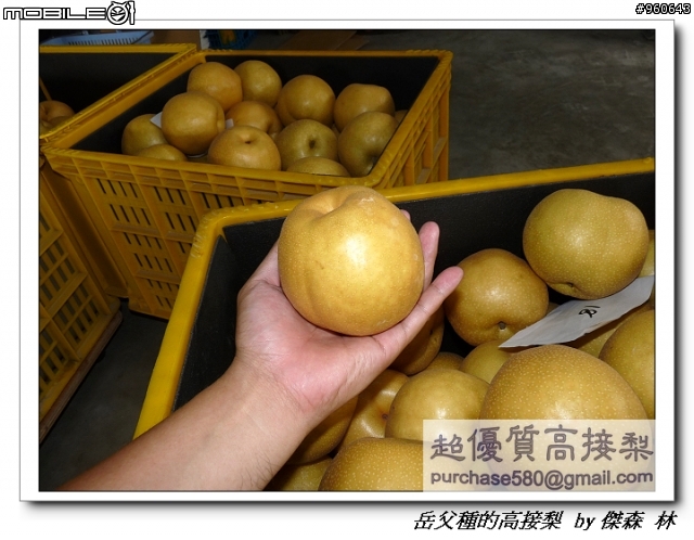 開包文_用心呵護的高接梨