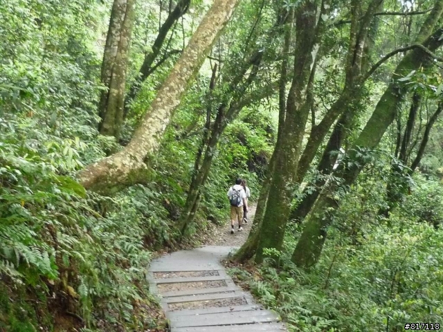[分享]三天三夜，南部橫貫公路+藤枝國家森林遊樂區