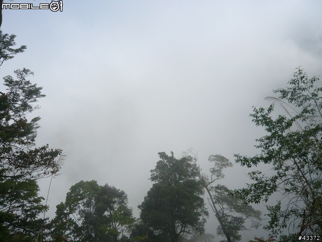 [分享]陽光飛輪 雪飄梧桐 2009第一屆大雪山自行車飛輪登山挑戰賽活動