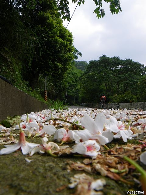[路線分享] 0503石門水庫-內灣-宇老-石門水庫(非大滿貫)