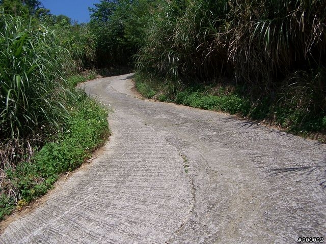2009/5/12 三元宮上顯伯宮+鹿寮坑~關西 小越嶺 + 自不量力之錦山~水田 越嶺