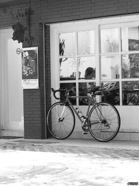 HAPPY PAPER WEDDING之綠色法蘭絲