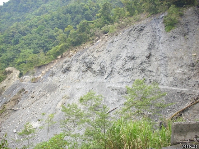 2009-05-17 [更新西段] 消失的台14東段 - 能高越嶺道 ---  終點 - 天長隧道?