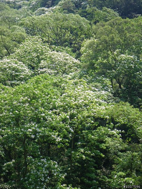 [路線分享] 0503石門水庫-內灣-宇老-石門水庫(非大滿貫)