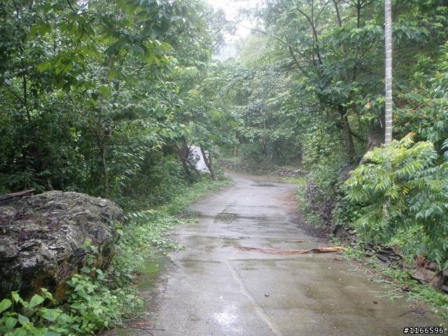 路線請益--三地門德文，轉"觀望山"路線