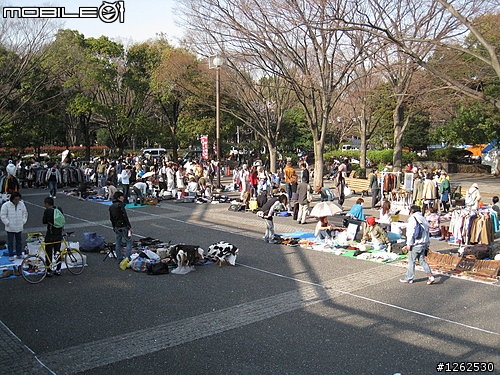 [分享]不可不去的跳蚤市場~東京代代木公園!!