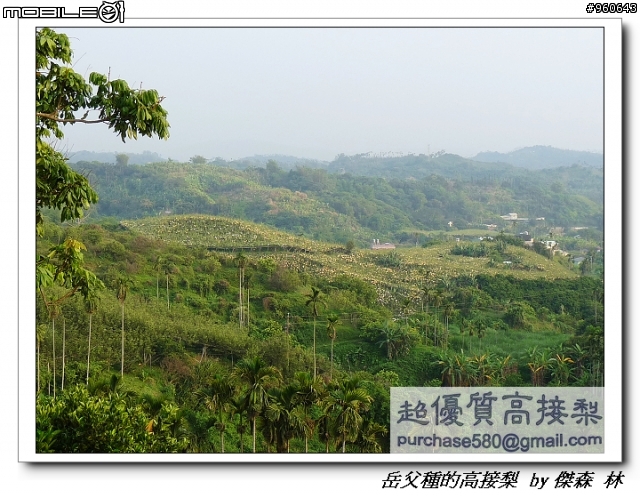 開包文_用心呵護的高接梨
