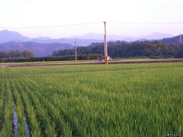 苗栗 130縣道 ( 薑麻園 ) +勝興車站+龍騰斷橋+鯉魚潭水庫