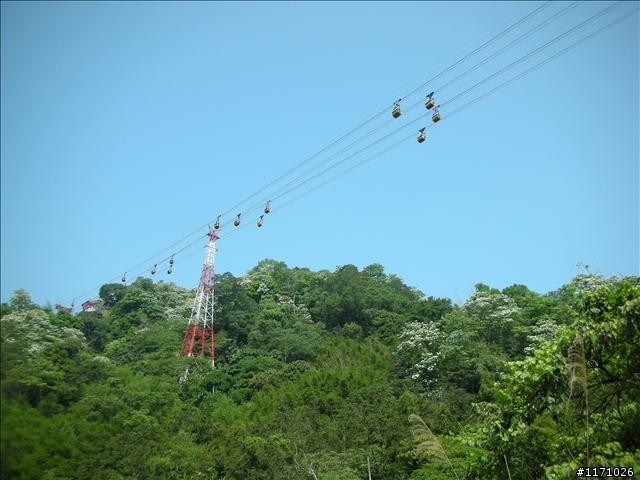 羅馬與內灣之間－－8字賞桐路線