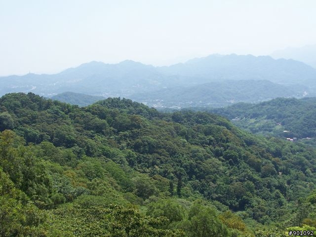 2009/5/12 三元宮上顯伯宮+鹿寮坑~關西 小越嶺 + 自不量力之錦山~水田 越嶺