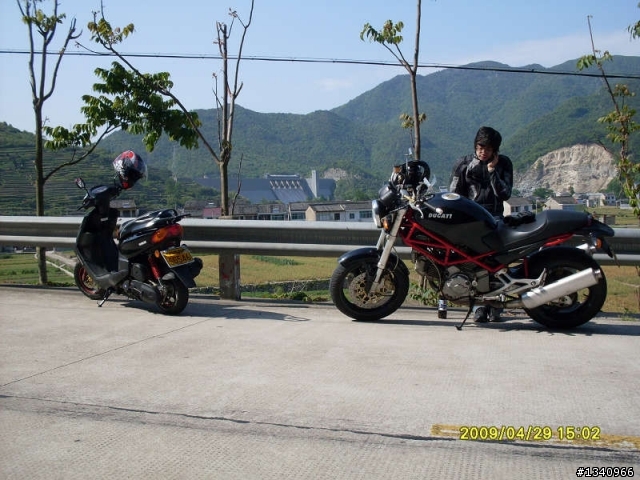 四明山4月的红枫