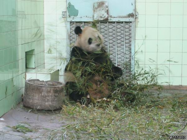 上海動物園