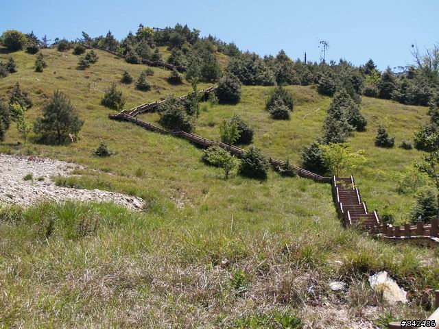 新竹五峰鄉一日遊--觀霧、雪霸休閒農場、清泉