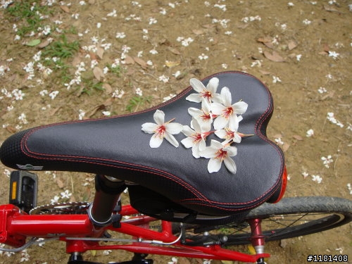 大家來分享一下騎愛車賞桐花的路徑和照片吧!